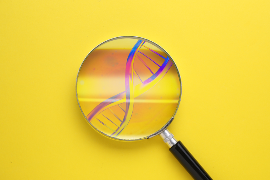 der genetische Zusammenhang von Autismus und ADHS